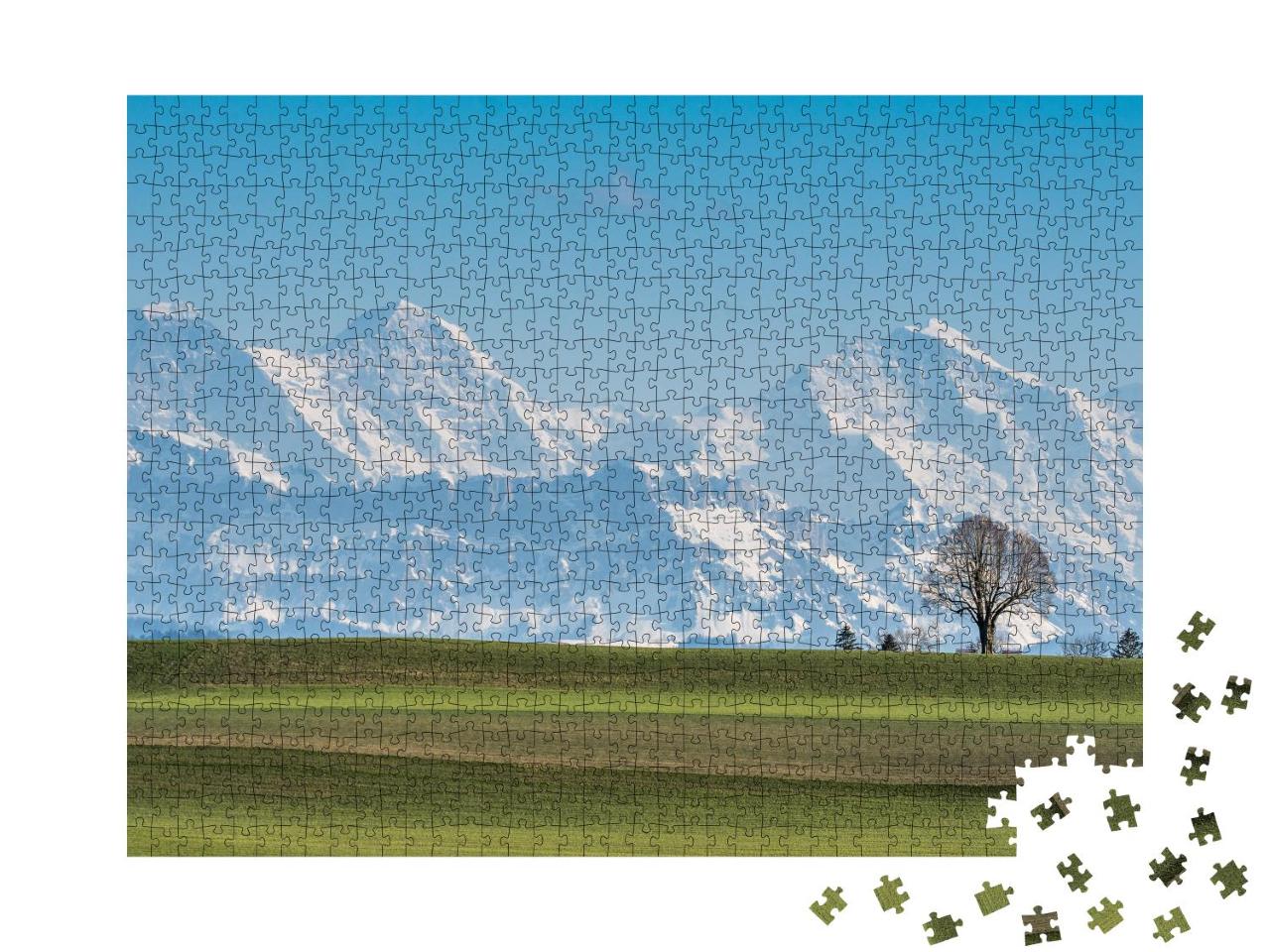 Puzzle 1000 Teile „Baum vor Eiger, Mönch und Jungfrau an einem schönen Frühlingstag“
