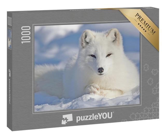 Puzzle 1000 Teile „Wunderschöner Polarfuch im Schnee“