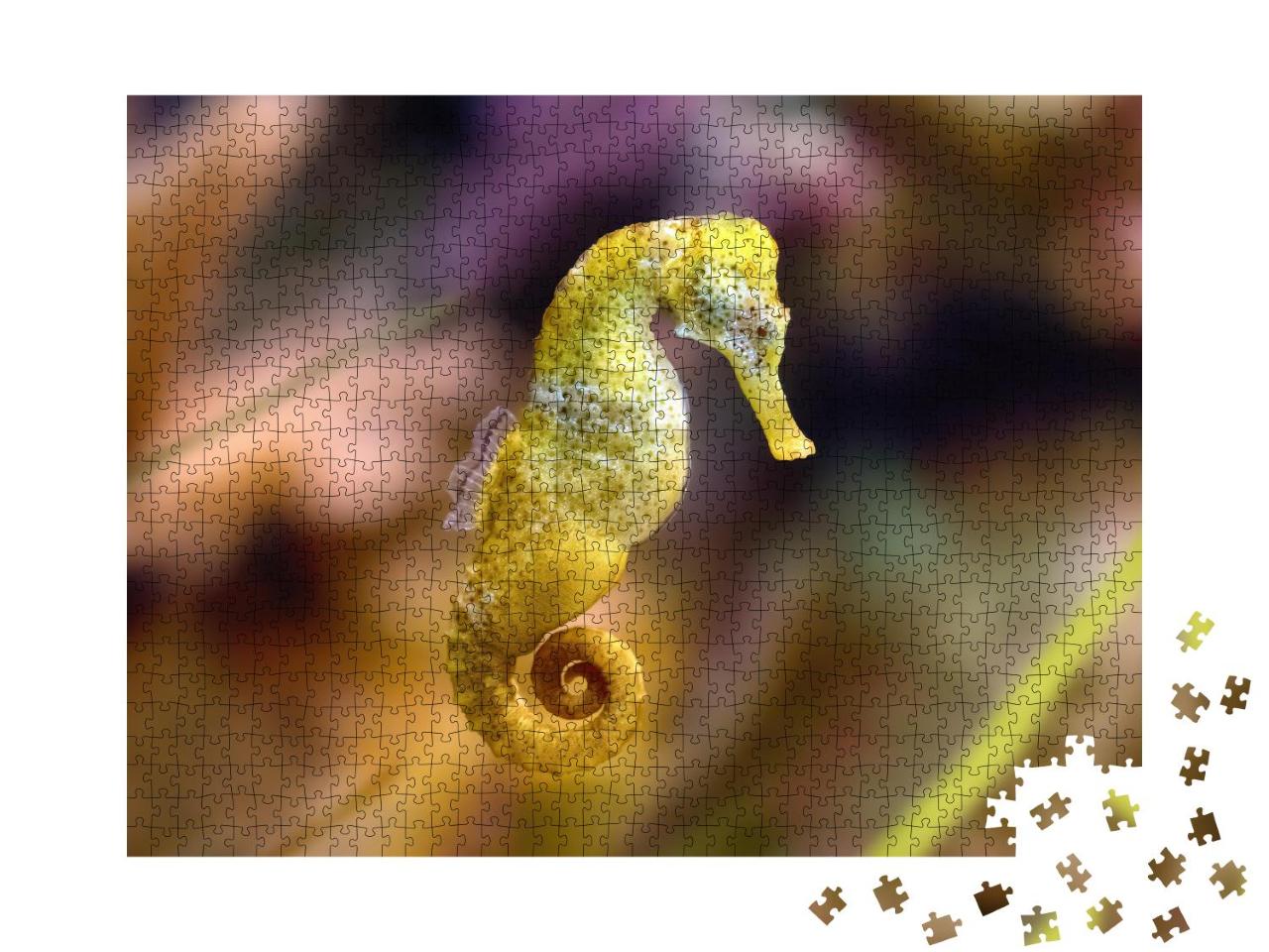 Puzzle 1000 Teile „Gelbes langschnäuziges Seepferdchen“