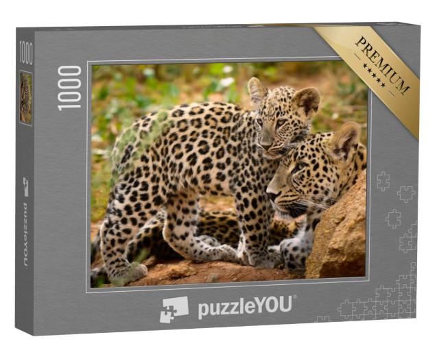 Puzzel 1000 stukjes „Luipaardmoeder en haar welp“