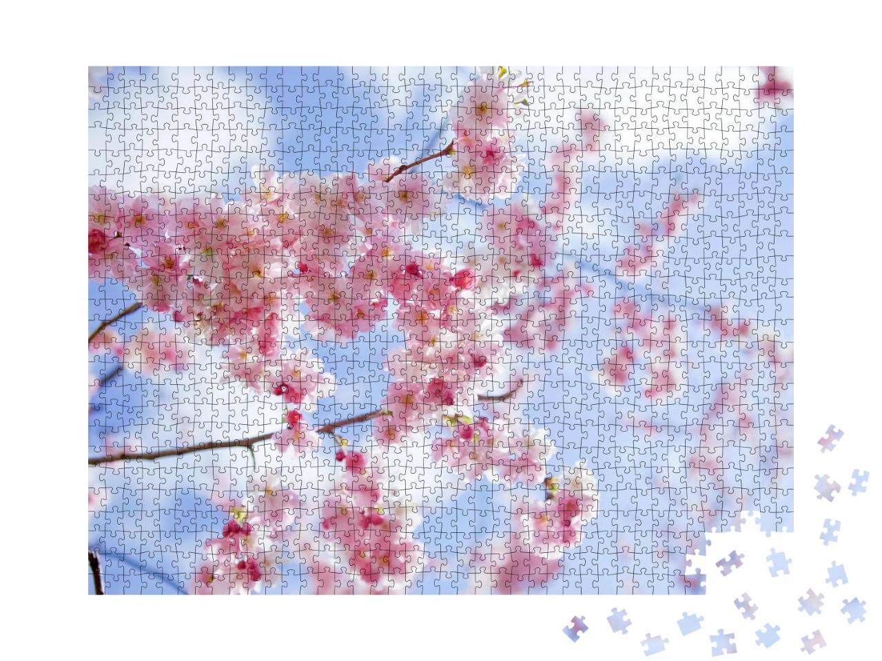 Puzzle 1000 Teile „Sakura: Rosa blühende Kirschbäume im japanischen Frühling“
