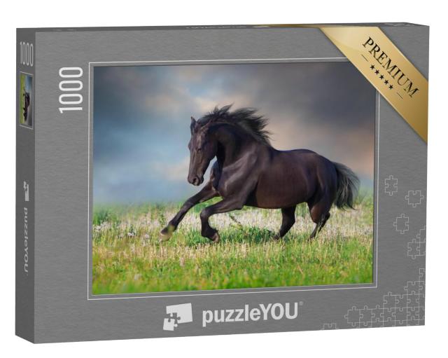 Puzzel 1000 stukjes „Fries paard in galop op een lentegroene weide“