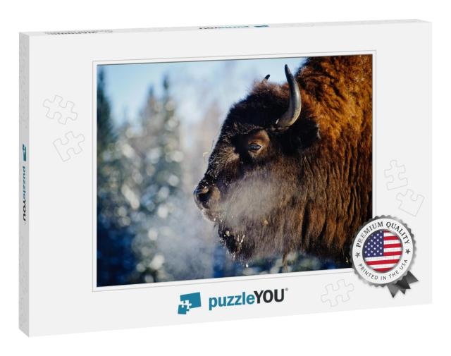 Bison in the Wild, in Winter, Against the Background of F... Jigsaw Puzzle