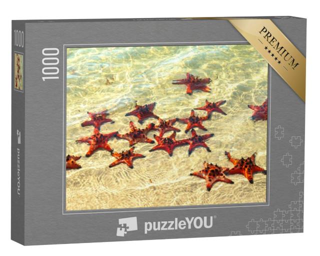 Puzzel 1000 stukjes „Zonnebadende zeesterren“