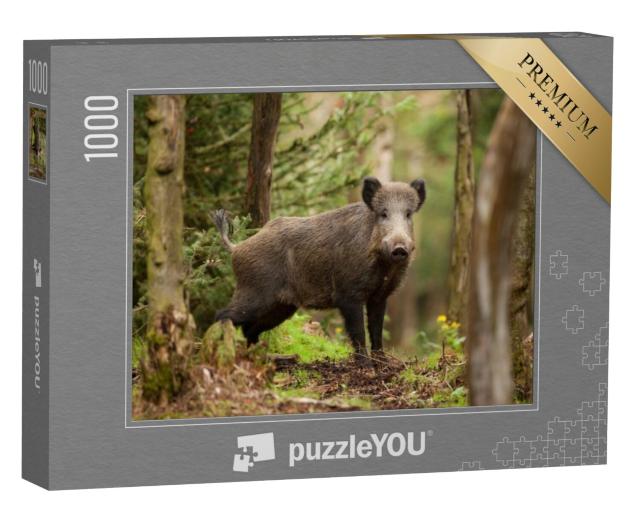 Puzzel 1000 stukjes „Wilde zwijnen in Tsjechië“