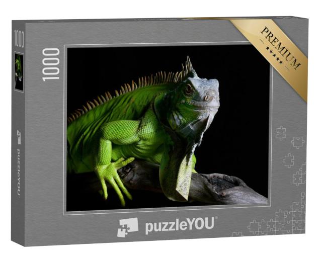 Puzzel 1000 stukjes „Grote groene leguaan“