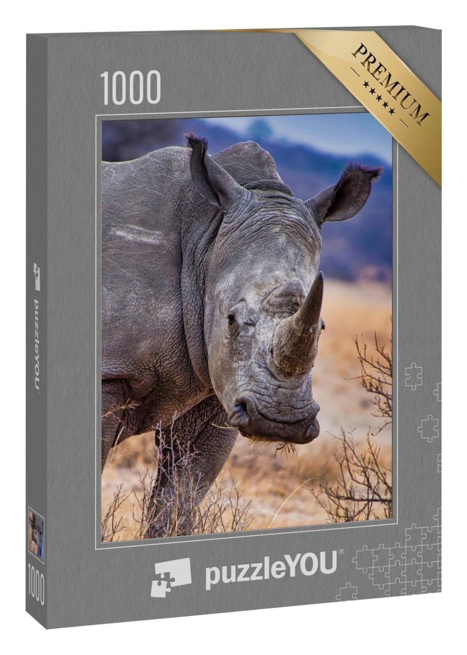 Puzzle 1000 Teile „Breitmaulnashorn, Khama Rhino Sanctuary, Botswana“