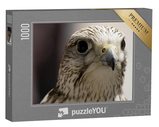 Puzzel 1000 stukjes „Portret van een roofvogel“