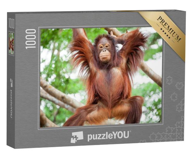 Puzzel 1000 stukjes „Orang-oetan“