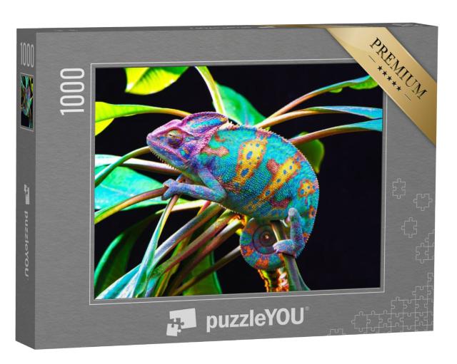 Puzzel 1000 stukjes „Kameleon“