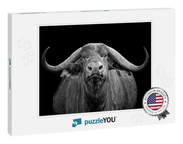 Black & White Photo of African Buffalo Portrait Syncerus... Jigsaw Puzzle