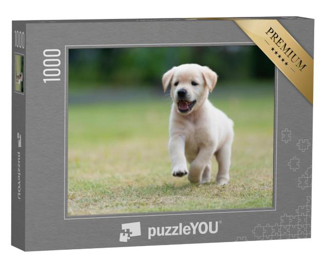 Puzzel 1000 stukjes „Puppy spelen“