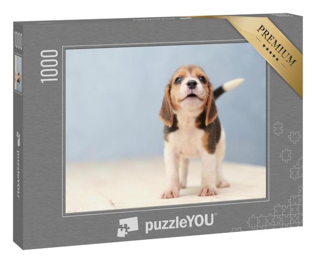 Puzzle 1000 Teile „Kleiner niedlicher Beagle-Welpe, Hund schaut auf“