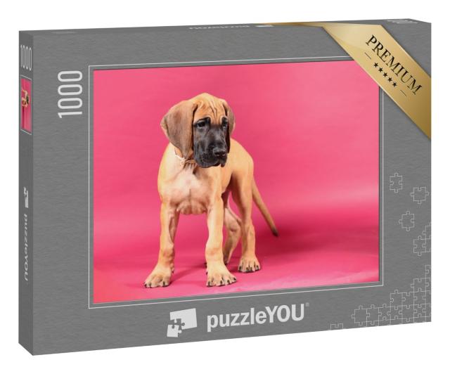 Puzzle 1000 Teile „Rehbraune Deutsche Dogge, Welpenporträt“