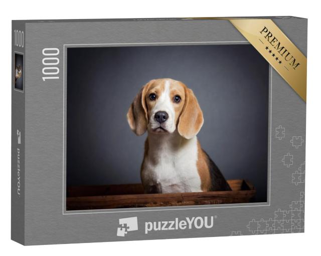 Puzzel 1000 stukjes „Portret van een beagle puppy“