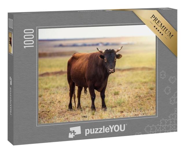 Puzzle 1000 Teile „Porträt eines braunen Bullen, der auf einem Feld steht“