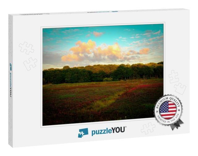 Dramatic Cloudscape Over the Cranberry Bog in Autumn on T... Jigsaw Puzzle