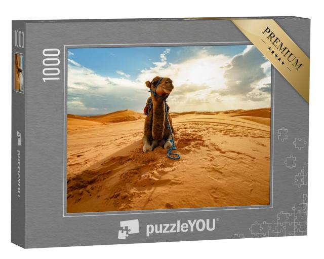 Puzzel 1000 stukjes „Rustende kameel in de Sahara, Marokko“