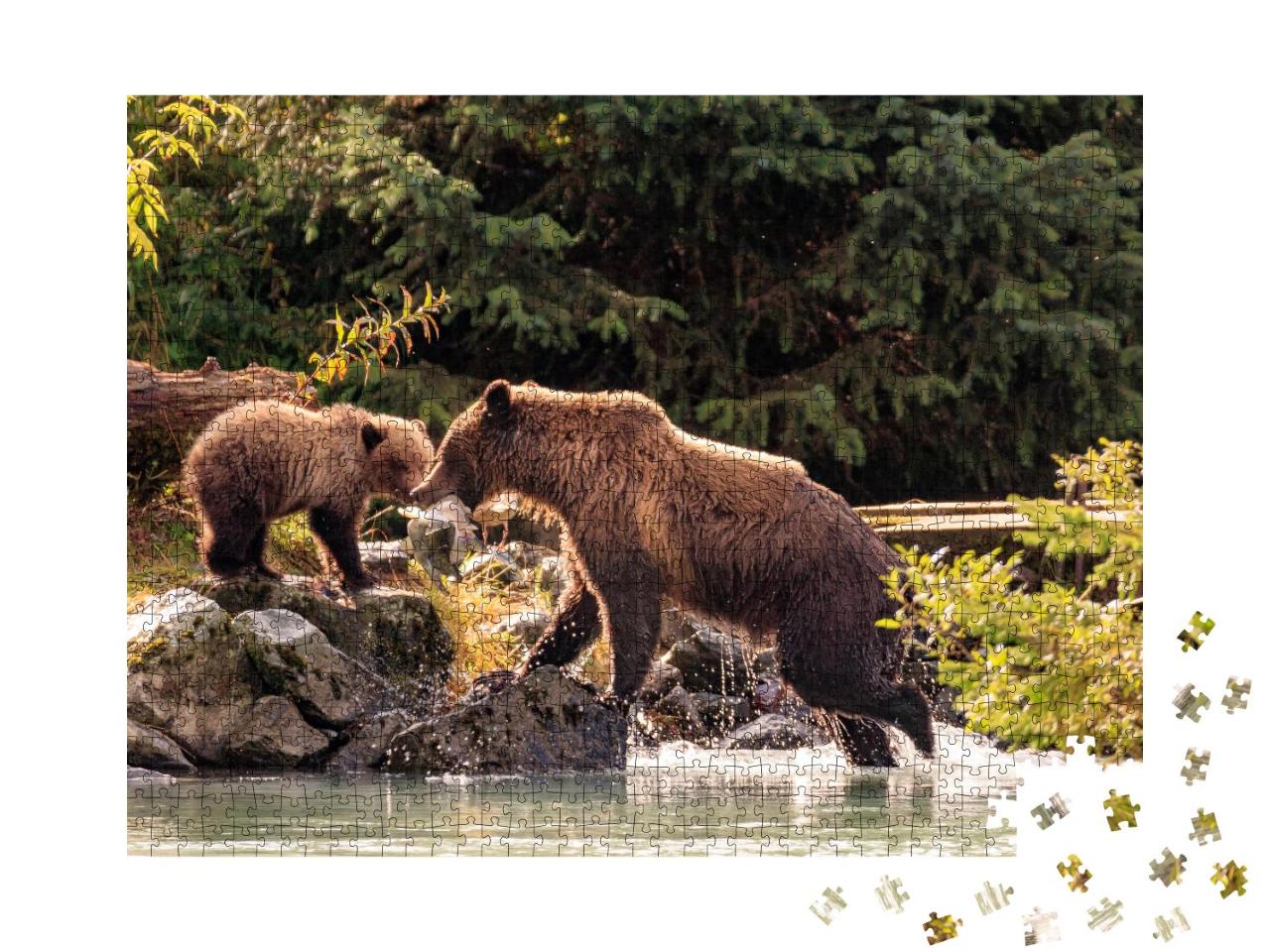 Puzzle 100 Teile „Bärenmutter beim Fischen mit ihren Jungen, Alaska“