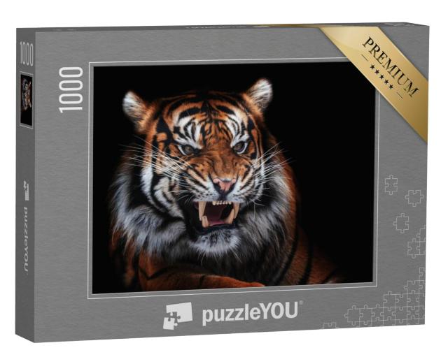 Puzzel 1000 stukjes „Sumatraanse tijger, mooi dier, portret“