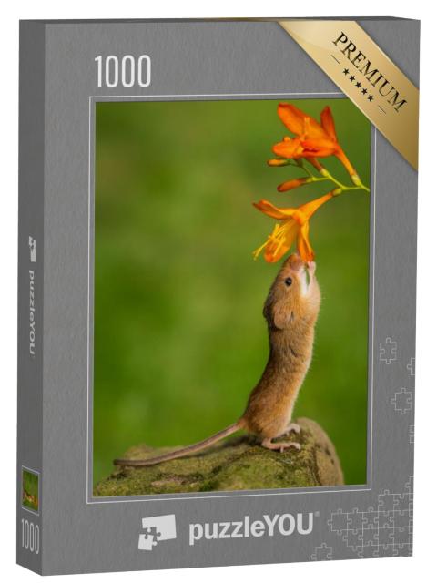 Puzzel 1000 stukjes „Kleine muis met bloem“