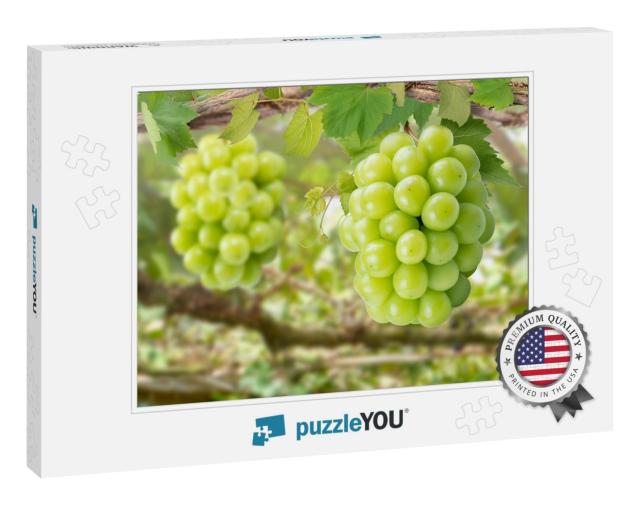 Sweet Green Grape on a Branch Over Green Natural Garden B... Jigsaw Puzzle