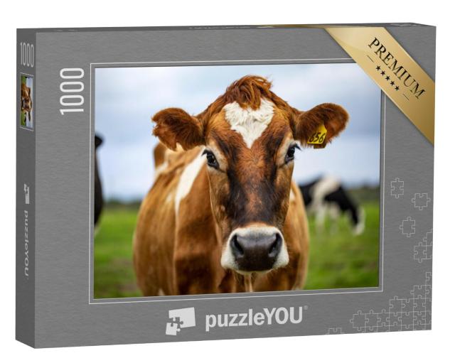 Puzzel 1000 stukjes „Oog in oog met een bruin gevlekte koe“