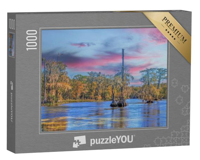 Puzzel 1000 stukjes „Wakulla bronnen, Everglades, Florida“