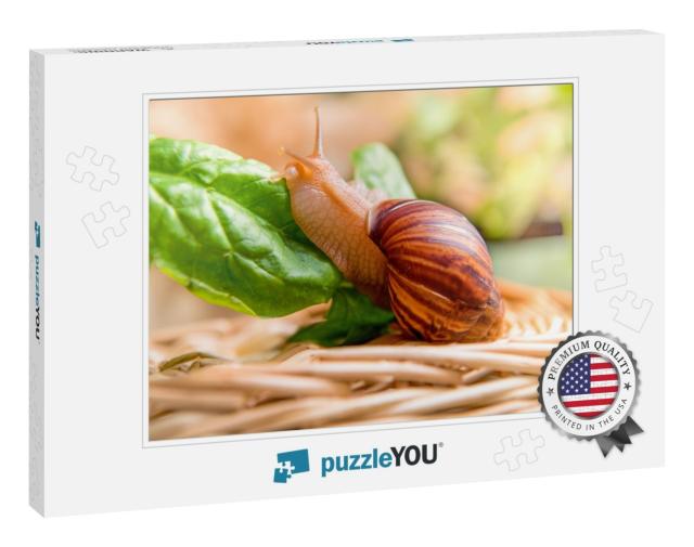 Snail on a Green Leaf. Close-Up. Copy Space... Jigsaw Puzzle