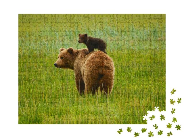 Puzzle 1000 Teile „Küsten-Braunbären: Mutter und Jungtier“