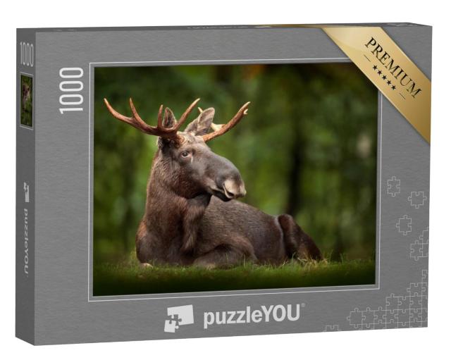 Puzzel 1000 stukjes „Eland“