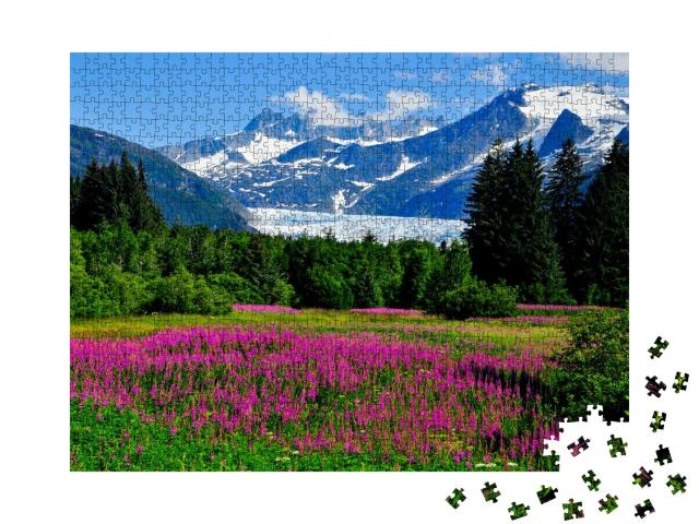 Puzzle 1000 Teile „Mendenhall-Gletscher mit blühendem Feuerkraut, Alaska“