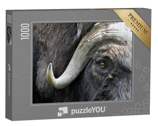 Puzzel 1000 stukjes „Gedetailleerde studie van het gezicht van een muskusos“