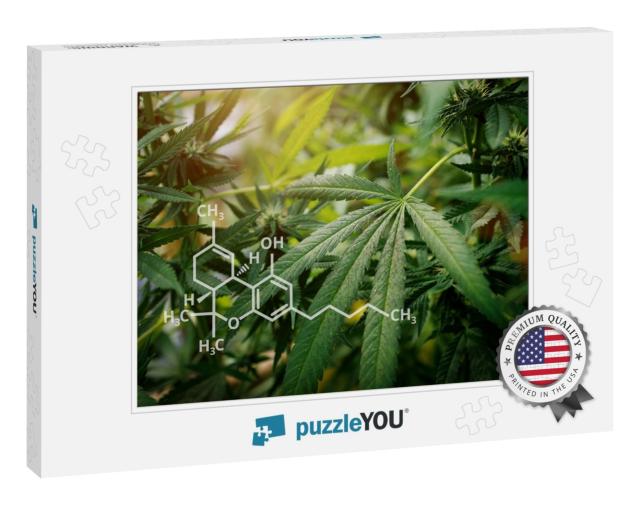 Marijuana & Medical Health, Cbd Structural... Jigsaw Puzzle