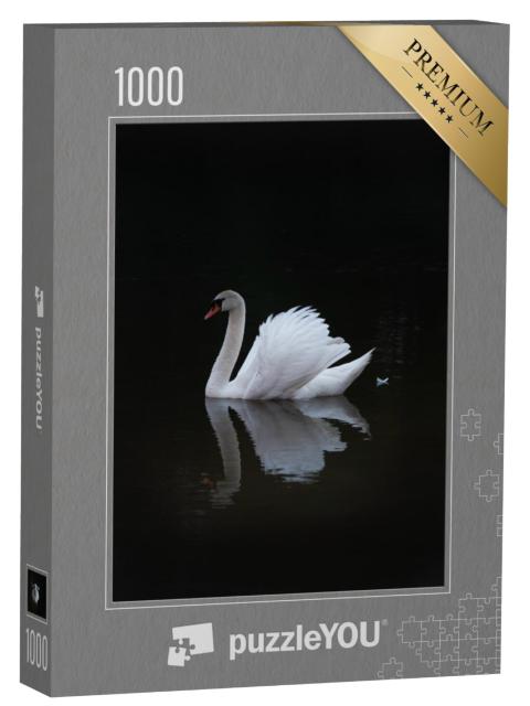 Puzzel 1000 stukjes „Elegante witte zwaan“