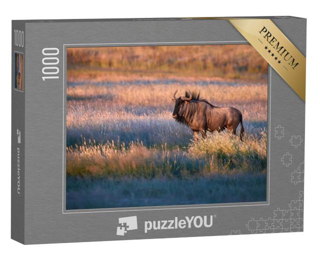 Puzzel 1000 stukjes „Blauwe gnoes in het avondlicht van de Kalahari-savanne“