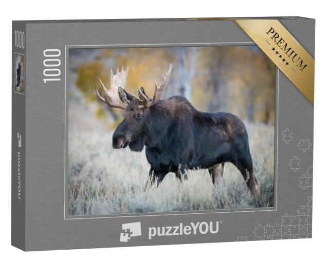 Puzzel 1000 stukjes „Elanden in droog gras, Yellowstone, VS“