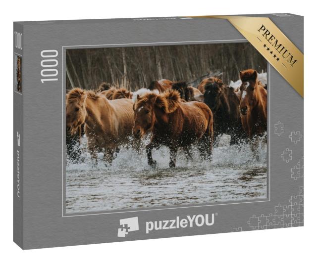 Puzzle 1000 Teile „Große Gruppe brauner und weißer Pferde in einem Waldgebiet in der Mongolei“