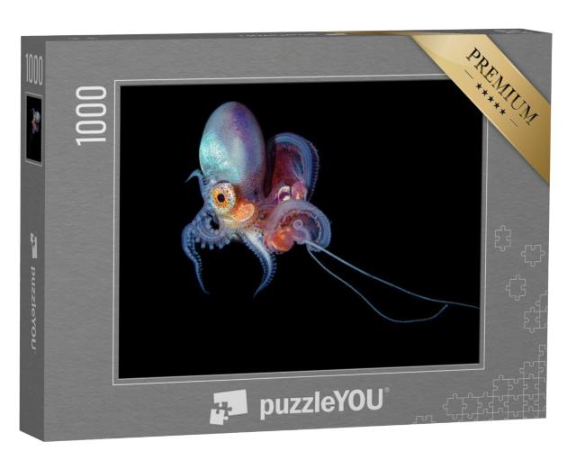 Puzzel 1000 stukjes „Onderwaterfoto van een gatenoctopus“