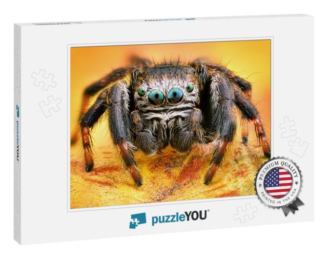 Extreme Sharp & Detailed Portrait of Polish Jumping Spide... Jigsaw Puzzle