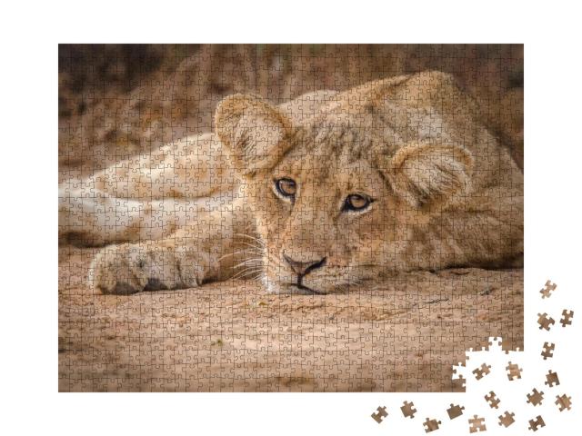 Puzzle 1000 Teile „Löwenjunges, Murchison Falls NP, Uganda“