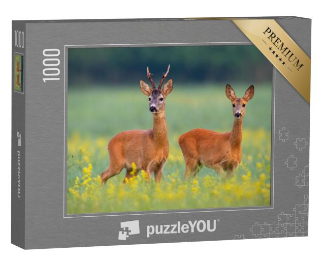 Puzzel 1000 stukjes „Reeën in een veld vol gele wilde bloemen“