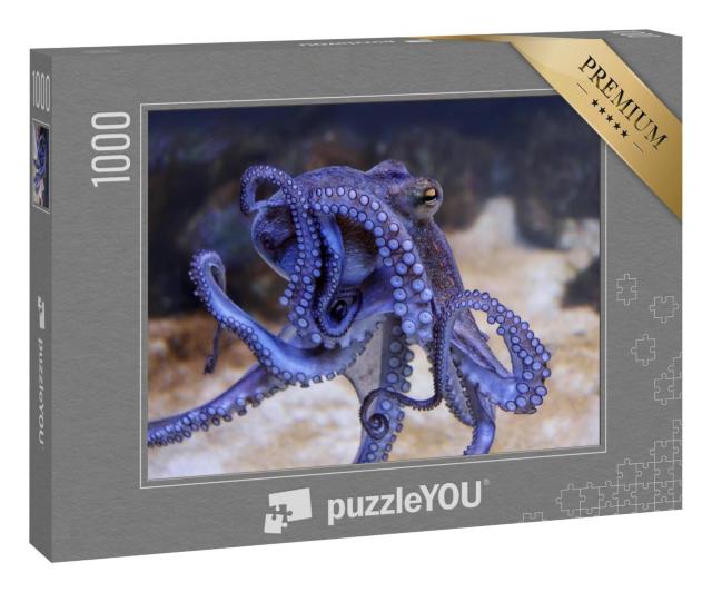 Puzzle 1000 Teile „Blauer Oktopus in einem Aquarium, Saugnäpfe, Nahaufnahme“