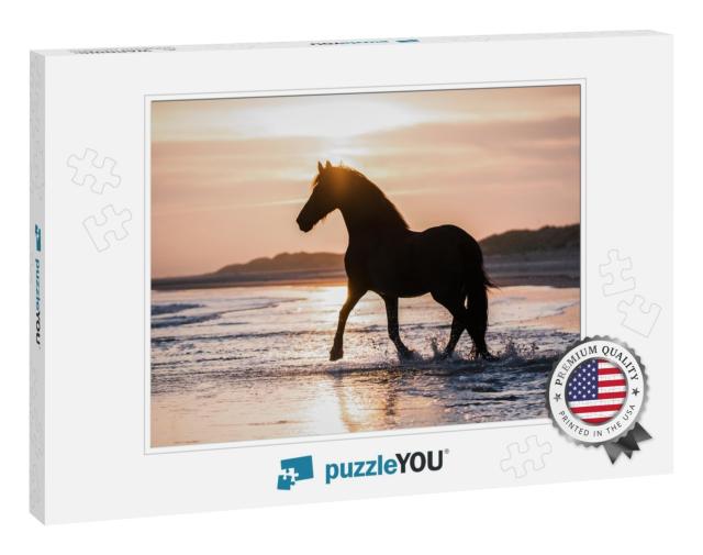 Black Horse Trotting Free At the Beach... Jigsaw Puzzle