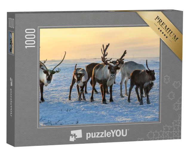 Puzzel 1000 stukjes „Kudde rendieren in de sneeuw“