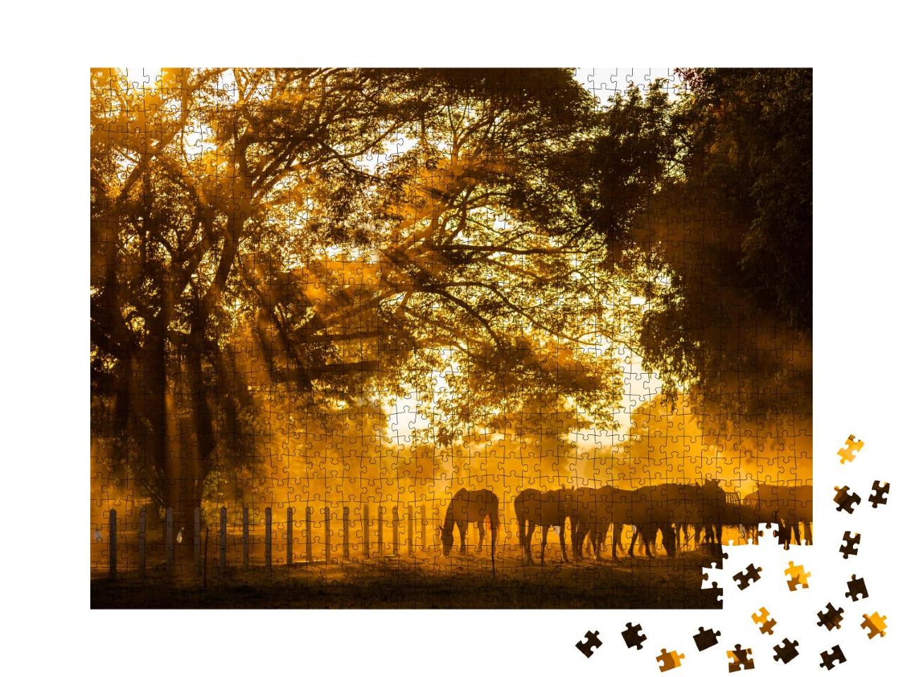 Puzzle 1000 Teile „Pferde beim Grasen im goldenen Abendlicht“