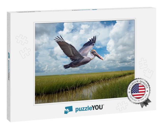 Brown Pelican in Flight Over Marshlands At Grand Isle Lou... Jigsaw Puzzle