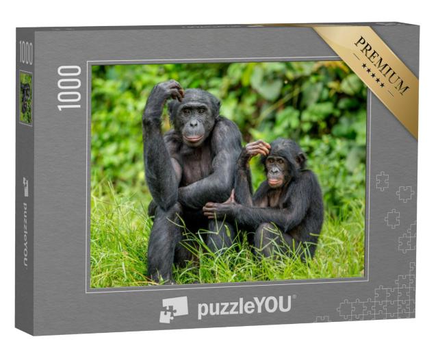 Puzzel 1000 stukjes „Vrouwelijke bonobo met een baby in Congo, Afrika“