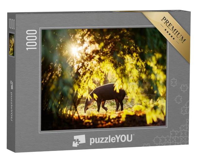 Puzzel 1000 stukjes „Tapir in het zonlicht in het bos van een dierentuin“