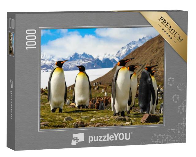 Puzzel 1000 stukjes „Koningspinguïns op het eiland South Georgia, Antarctica“